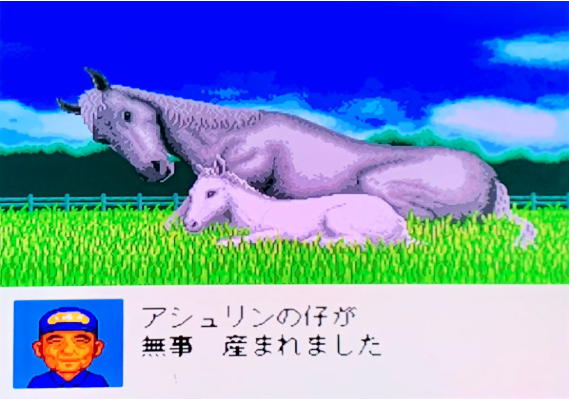 ダビスタ96の白馬誕生の画面
