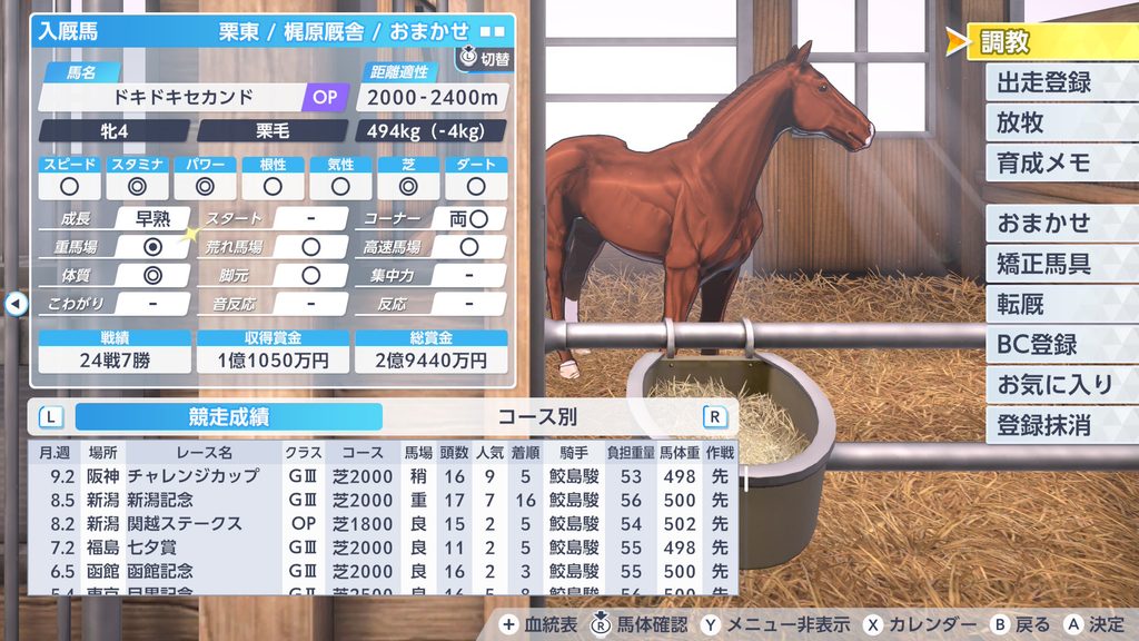 ダービースタリオン2のドキドキセカンド馬のステータス画面