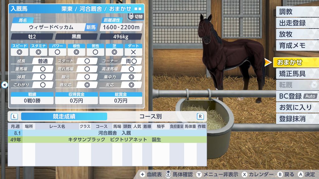 ダビスタ2の産駒の入厩時サンプル