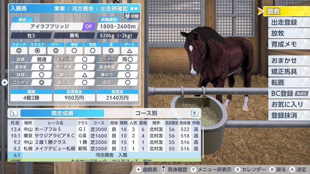 ダービスタリオン2の普通馬の2歳レース結果画面