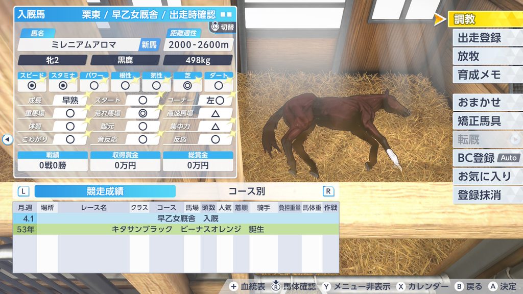 ダビスタ2の産駒の入厩時サンプル