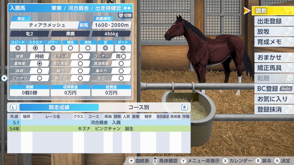 ダビスタ2の産駒の入厩時サンプル